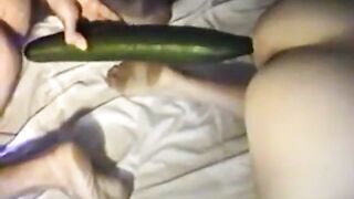 Globale gårdsjenters hager