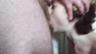 Good Girl's Daily Mission: Sucking and Swallowing