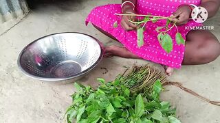 Desi housewife ne sabji banai