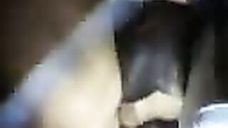 My horny wife gets her hairy pussy licked by my friend black