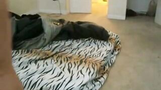 Anal Webcam Amateur Shakes Her Booty