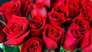 Bangla choto golpo beautiful mature saree cheating hasd full story in Bangla audio choto golpo beautiful aunty fuck by hasband