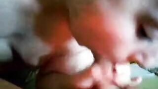 Indian MILF girl sucks her husband's dick