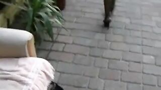 Stygg svenska porrstjärna Angelica onanerar