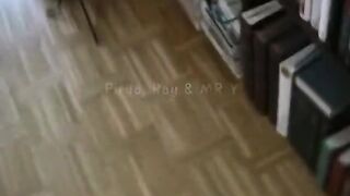 Asiatisk-svensk trekant med Pirya