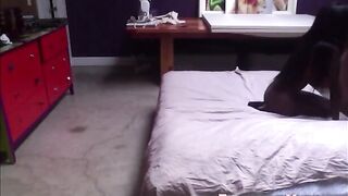 Slim ebony with hot pussy interracial sex