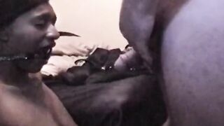 Shree's American Amateur Session