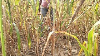 Called a beautiful girl from a native village to the field and her