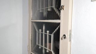 Fucking My Delicious White Stepdaughter in the Hair