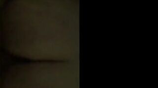 Vår första amatörsvenska hundstil