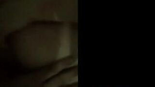 Vår första amatörsvenska hundstil