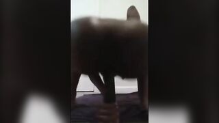 Big Booty Babe Rides Her Dildo