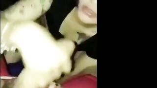 Dirty Talking Chinese Amateur Blowjob