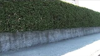 The perfect stepfamily - DVD