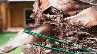 Wet And Sneaky Sapphire Astrea Brazzers