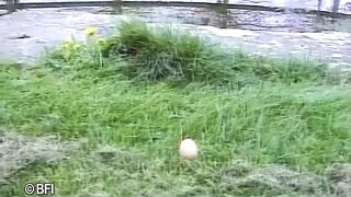 Xkiss - Mc been on the beach, part 4