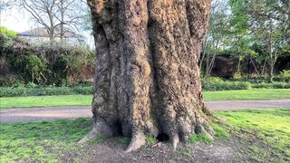 Liz Rainbow Smoking a Flor De Oliva Cigar Outdoors