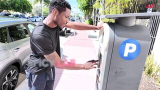 Black Collection - Mary Rider & Robb Nation