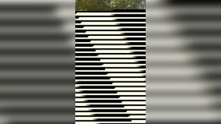 Onlyfans Scarlet Chase 28