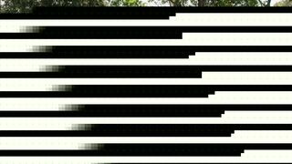 Polly Yangs Era Queen Bratty College Girls Have Naughty Threesome Vixenbackup