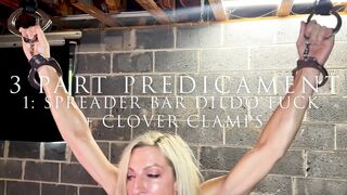 2 Part Predicament Bondage Damsel in Distress