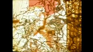 The Madness of My Vagina