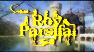 Italian milf like sucking and being fucked by young hard cocks