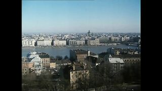 The Pig Sucks Cock(movie)