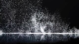 Alexis Rodriguez’s Night of Raw Pleasure