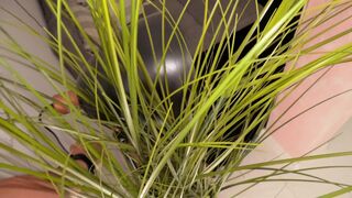 It's the Same Every Time! She Wants a!