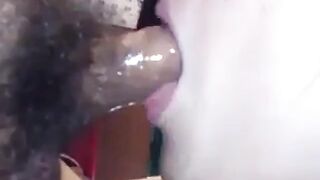 Sloppy Asian Amateur Blowjob