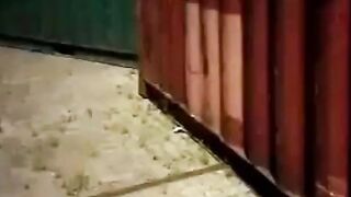 Mature German Amateurs in Outdoor Group Sex