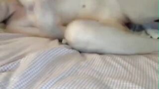 Blondie's Triple Play - Big Tit Cam Girl Goes Wild