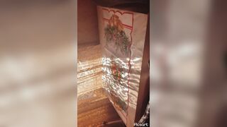 You want my tits always