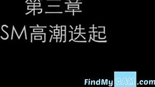 Chinese Amateur Girl's Orgasm on Webcam