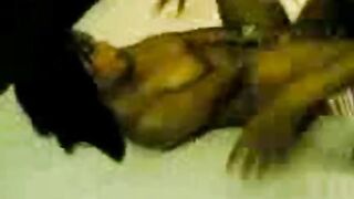 Big-Titted Asian Amateur in a Steamy Threesome