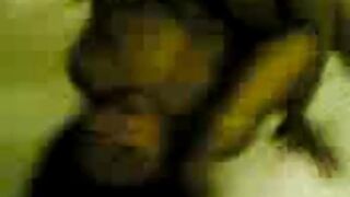 Big-Titted Asian Amateur in a Steamy Threesome