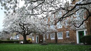 I Fuck My Stepmom and Stepmommy Makes Me Cum Inside Her Pussy