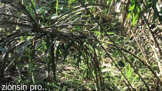 African Lovers in Bush Fucking