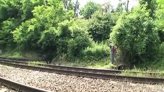 Amateurs have outdoor sex with a slutty girl