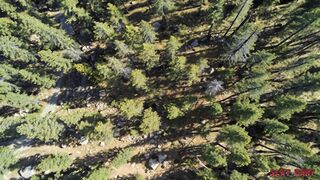 Slut Hunt Ep.6: Ravyn Gets Filled with Sperm