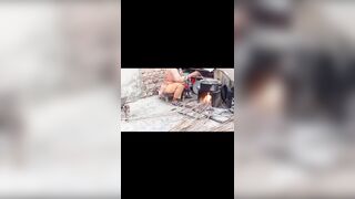 Hot pakistani rabi peerzada video