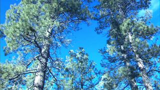 Marvelous babe with big tits gets screwed outdoors