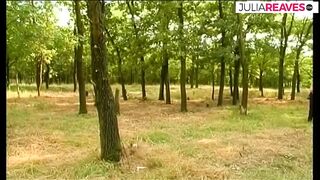 Pussy made wet with the salad gurge