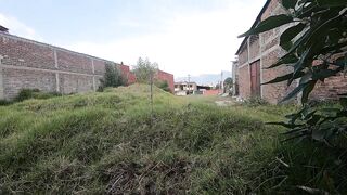 Amateur Blowjob in the Garden