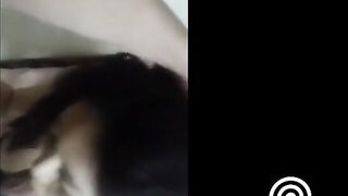 Amateur Asian Blowjob Video Downloads