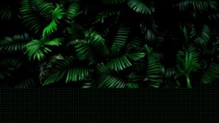 Shinystar Asmr Ice Cream Eating