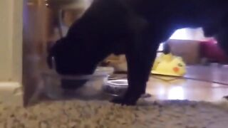 Redhead Ifrit Twerking Her Big Ass at Home