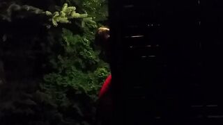 Public Garden Party Turns Into a Hardcore Orgy