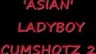 Deutscher Amateur Analsex mit asiatischem Araber